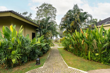Facilities