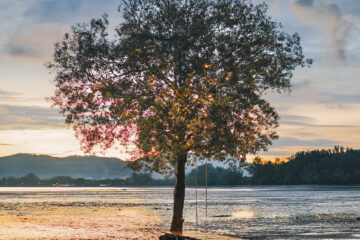 Grove Phuket